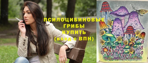 прущий лед Лагань