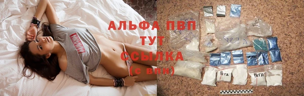 jwh Ладушкин