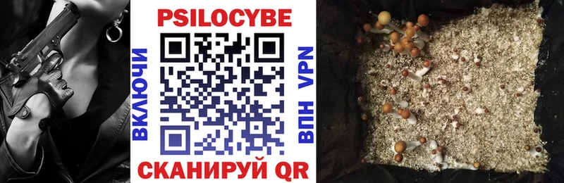 наркота  Сухиничи  Псилоцибиновые грибы ЛСД 